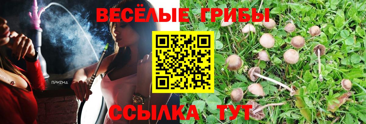 продажа наркотиков  Галлюциногенные грибы прущие грибы  Вход с VPN  Зеленокумск 