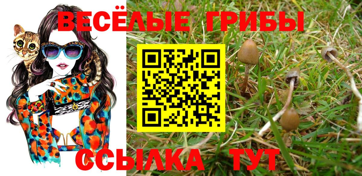 Псилоцибиновые грибы Magic Shrooms Зеленокумск